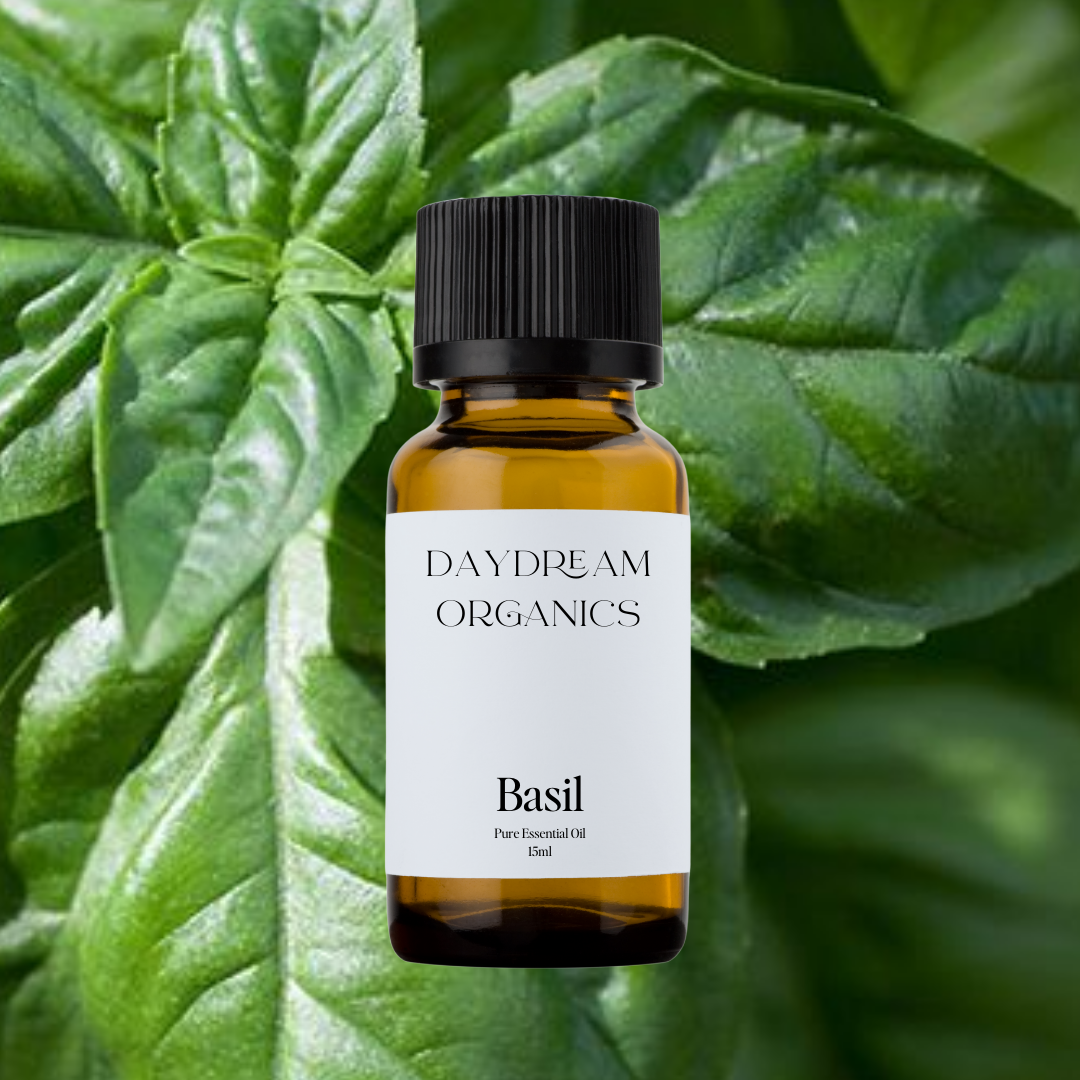 Our uncertified organic Basil (Ocimum basilicum) essential oil offers a fresh, sweet, and slightly spicy aroma with green, herbaceous undertones, known for its ability to awaken the senses and sharpen the mind.

Emotionally and energetically, Basil is clarifying, uplifting, and mentally stimulating, making it a powerful ally for clearing mental fog, enhancing focus, and restoring a sense of balance and clarity during times of overwhelm.