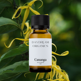 Our uncertified organic Cananga essential oil, a close relative to Ylang Ylang, offers a rich, floral aroma with earthy, slightly green undertones that is softer and more grounding than its sweeter counterpart.

Emotionally and energetically, Cananga is known for its calming, heart-centering properties, helping to soothe stress, ease tension, and promote a sense of emotional harmony and relaxation.