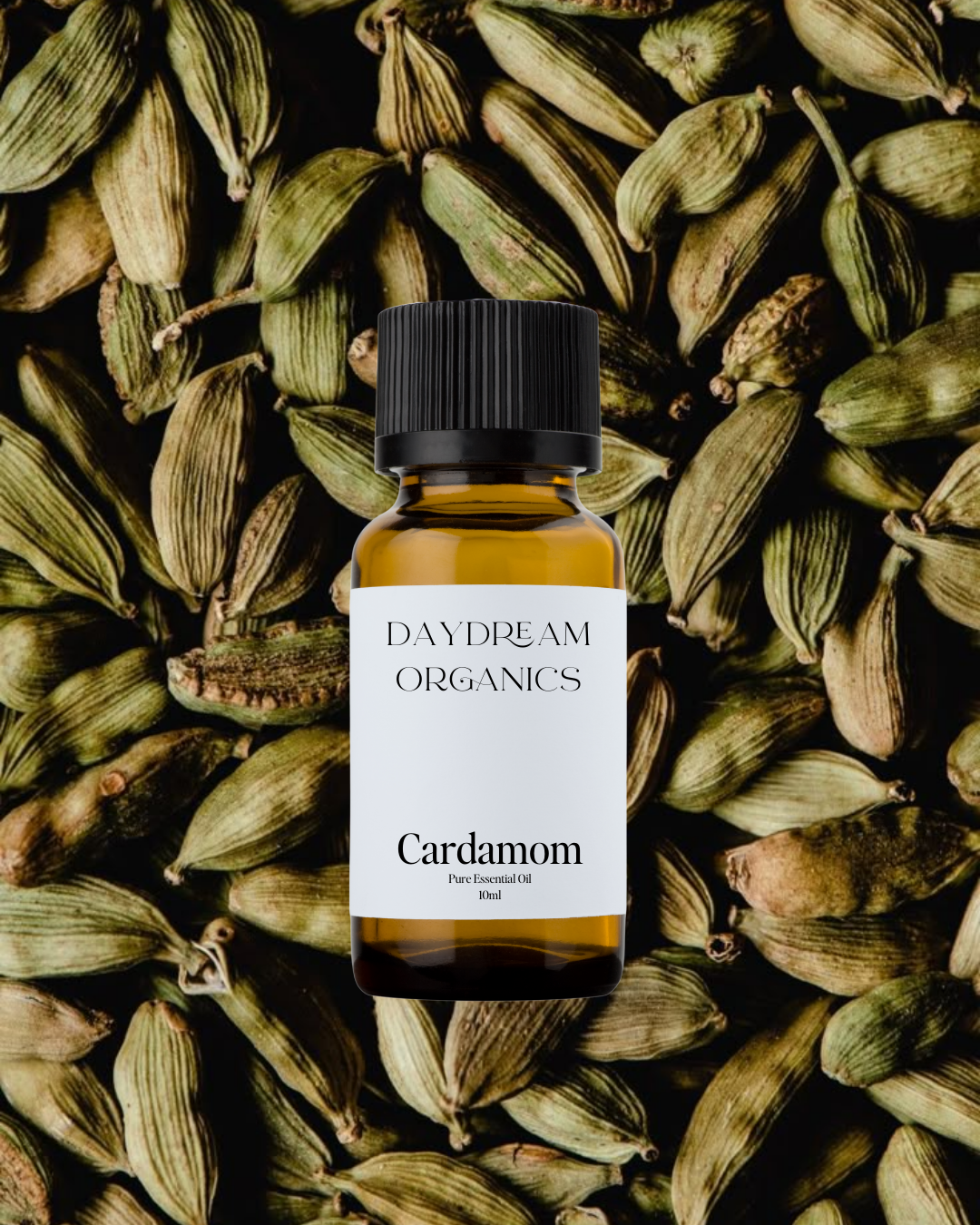 Our uncertified organic Cardamom (Elettaria cardamomum) essential oil has a warm, spicy-sweet aroma with fresh, citrusy, and slightly balsamic undertones, offering both comfort and brightness in one elegant scent.

Emotionally and energetically, Cardamom is uplifting, clarifying, and gently stimulating, helping to ease mental fatigue, soothe tension, and encourage a sense of openness and emotional warmth.