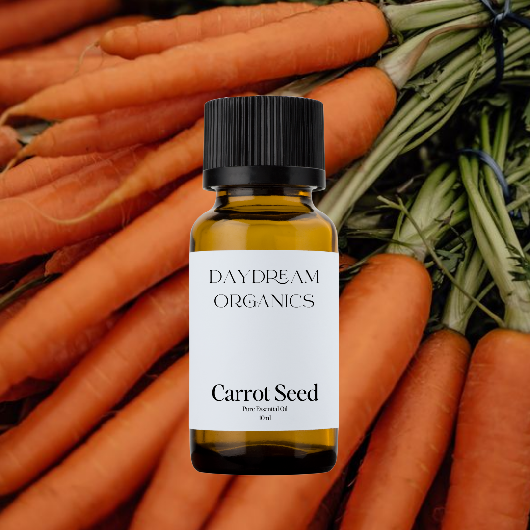 Our uncertified organic Carrot Seed (Daucus carota) essential oil offers a warm, earthy, and slightly sweet aroma with subtle woody and herbaceous undertones, grounding and rich in character.

Emotionally and energetically, Carrot Seed is known for its restorative and centering properties, often used to support mental clarity, skin renewal, and a sense of deep inner nourishment. It’s a beautiful ally for both radiant skin and rooted energy.