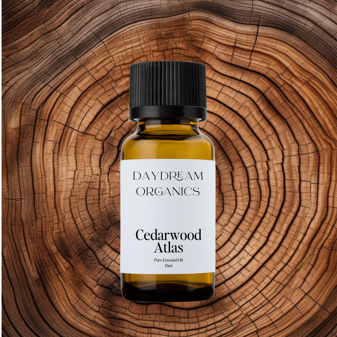 Our uncertified organic Cedarwood Atlas (Cedrus atlantica) essential oil has a rich, balsamic, and slightly sweet woody aroma, deeper and more velvety than other cedar varieties—evoking ancient forests and quiet strength.

Emotionally and energetically, Cedarwood Atlas is known for its grounding, calming, and fortifying qualities, making it ideal for centering the mind, easing stress, and promoting a deep sense of emotional stability and connection to the earth.