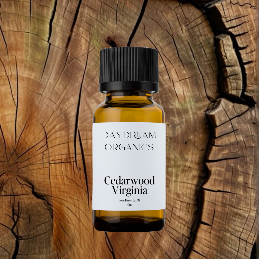 Our ethically wildcrafted Cedarwood Virginia essential oil offers a smooth, woody aroma with soft smoky and slightly sweet undertones.

Emotionally and energetically, Cedarwood Virginia is grounding, stabilizing, and gently comforting, traditionally used to ease stress, promote emotional balance, and foster a sense of rootedness, clarity, and inner peace.
