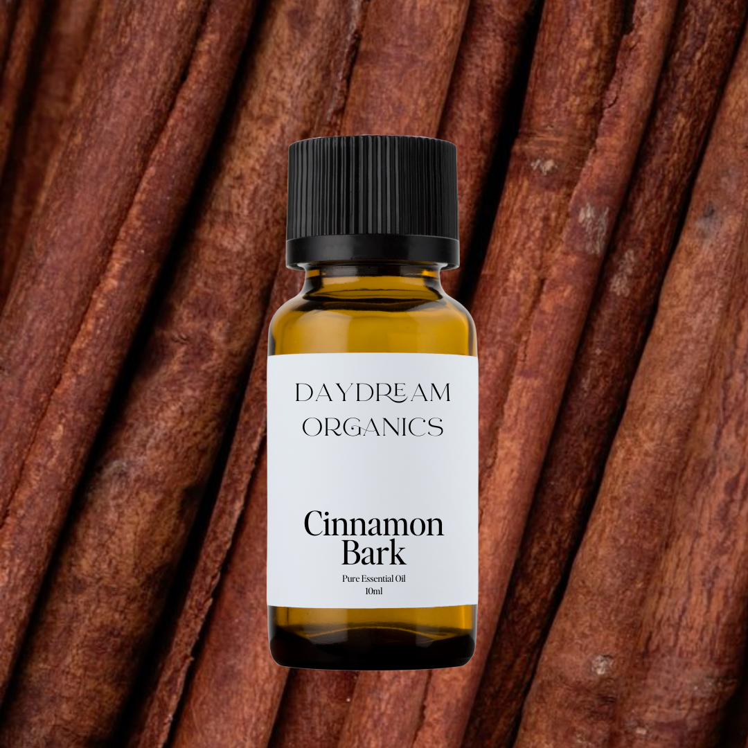 Our uncertified organic Cinnamon Bark (Cinnamomum verum) essential oil delivers a rich, warm, and unmistakably sweet-spicy aroma—bold, fiery, and deeply aromatic, with notes that are both comforting and energizing.

Emotionally and energetically, Cinnamon Bark is stimulating, uplifting, and empowering, known to ignite passion, motivation, and inner warmth. It’s a beautiful oil for creating a cozy, invigorating atmosphere and supporting emotional resilience.