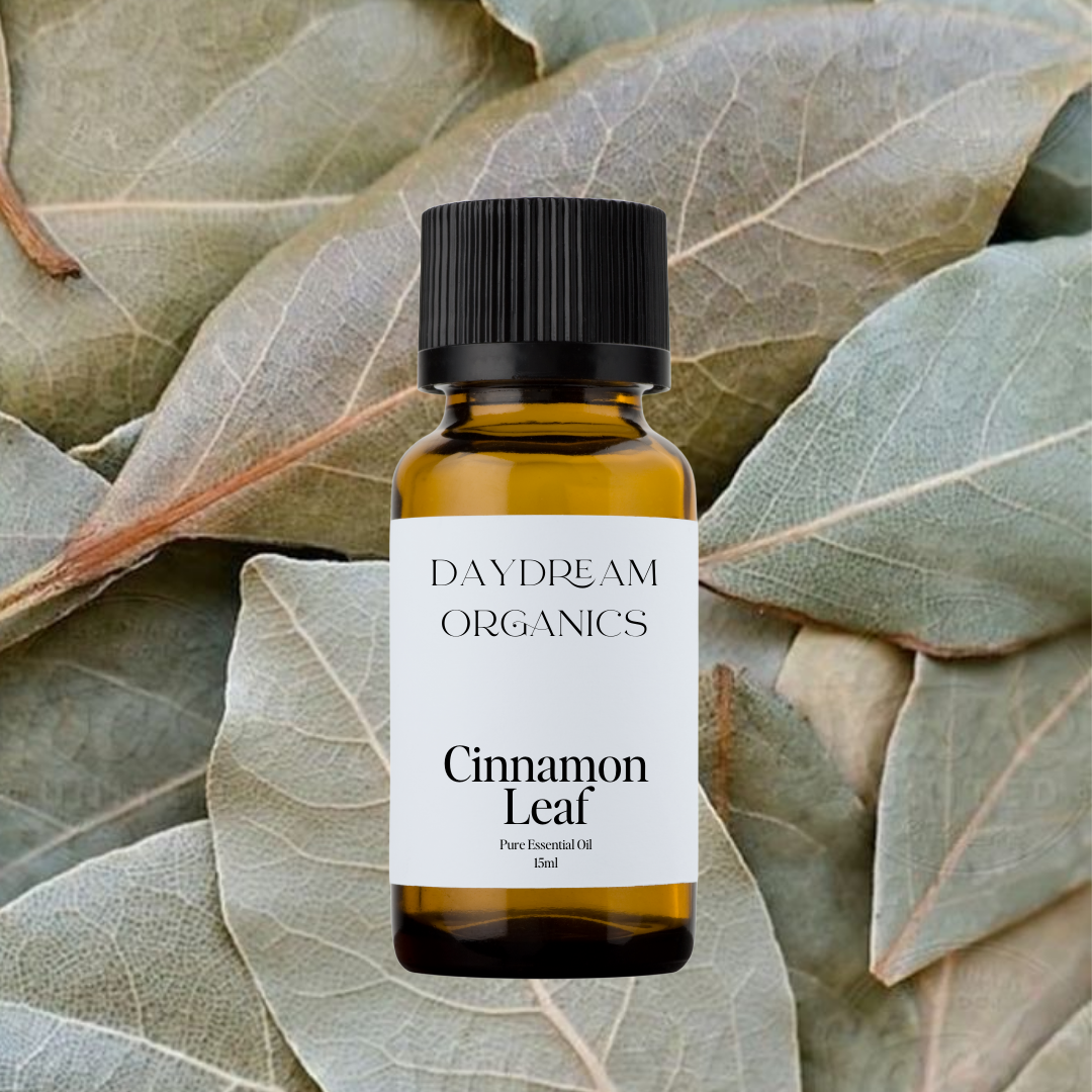 Our uncertified organic Cinnamon Leaf (Cinnamomum verum) essential oil offers a warm, spicy, and slightly herbaceous aroma with soft clove-like notes—less sweet than cinnamon bark, yet deeply comforting and stimulating.

Emotionally and energetically, Cinnamon Leaf is known to be warming, invigorating, and uplifting, helping 

Emotionally and energetically, Cinnamon Leaf is grounding, restoring and uplifting. Cinnamon Leaf can be used to inspire sensual moods, improve morale and promote a positive mindset. 