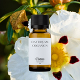 Our uncertified organic Cistus essential oil offers a deep, resinous, and amber-like aroma with warm earthy and honeyed undertones.

Emotionally and energetically, Cistus is centering, restorative, and heart-opening, traditionally used to anchor the spirit, support emotional healing, and evoke a sense of stillness, inner strength, and sacred connection.