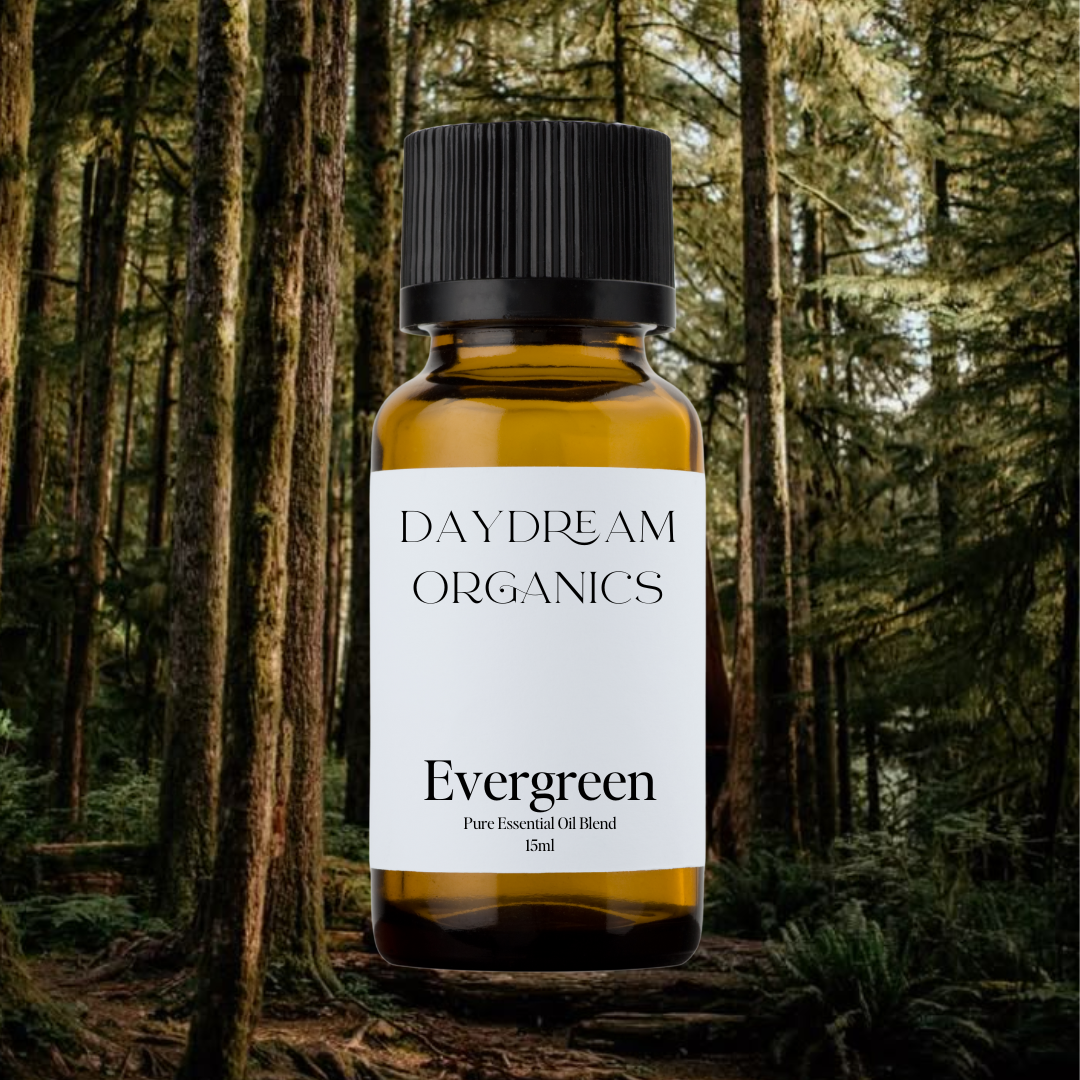 Our Evergreen essential oil blend has been created to help you escape to the Evergreens, no matter where you are. Inspired by the stillness and strength of coniferous woods, this blend awakens the senses, clears the mind, and leaves you feeling renewed, energized, and rooted in nature.