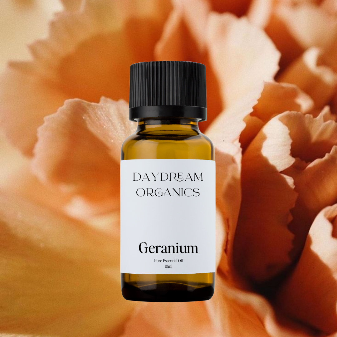 Our uncertified organic Geranium essential oil offers a fresh, soft, lemony, rosy and herbaceous aroma. 

Emotionally and energetically, Geranium is uplifting, stabilizing and relaxing. 