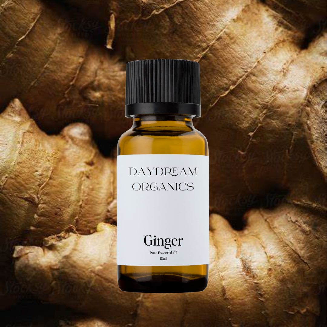 Our uncertified organic Ginger essential oil offers a spicy, lively and intensely warming essential oil. 

Emotionally and energetically, Ginger essential oil is warming, stabilizing, stimulating and motivating. Ginger is also known as a potent aphrodisiac and is highly revitalizing. 