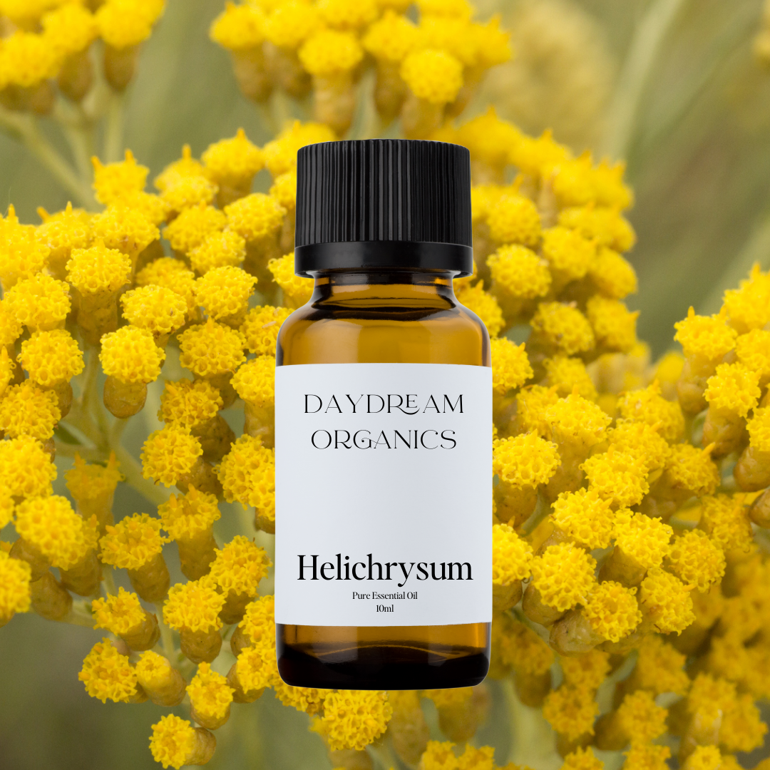 Our ethically wildcrafted Helichrysum essential oil offers a rich, herbaceous, honey-like, earthy aroma. 

Emotionally and energetically, Helichrysum is healing, balancing and emotionally revitalizing. 