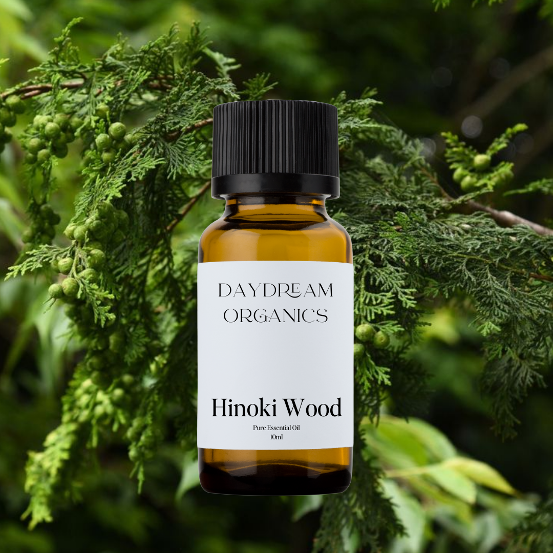Our uncertified organic Hinoki Wood essential oil offers a soft, woody, and citrusy aroma with delicate earthy and slightly smoky undertones.

Emotionally and energetically, Hinoki is calming, grounding, and spiritually uplifting, traditionally used to promote tranquility, reduce stress, and cultivate a sense of peaceful presence and inner stillness.