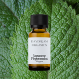 Our uncertified organic Japanese Peppermint essential oil offers a potent, herbaceous, cooling, minty aroma.

Emotionally and energetically, Japanese Peppermint is cooling, revitalizing, refreshing, uplifting and relaxing. Peppermint is known to stimulate new ideas, creativity and concentration.