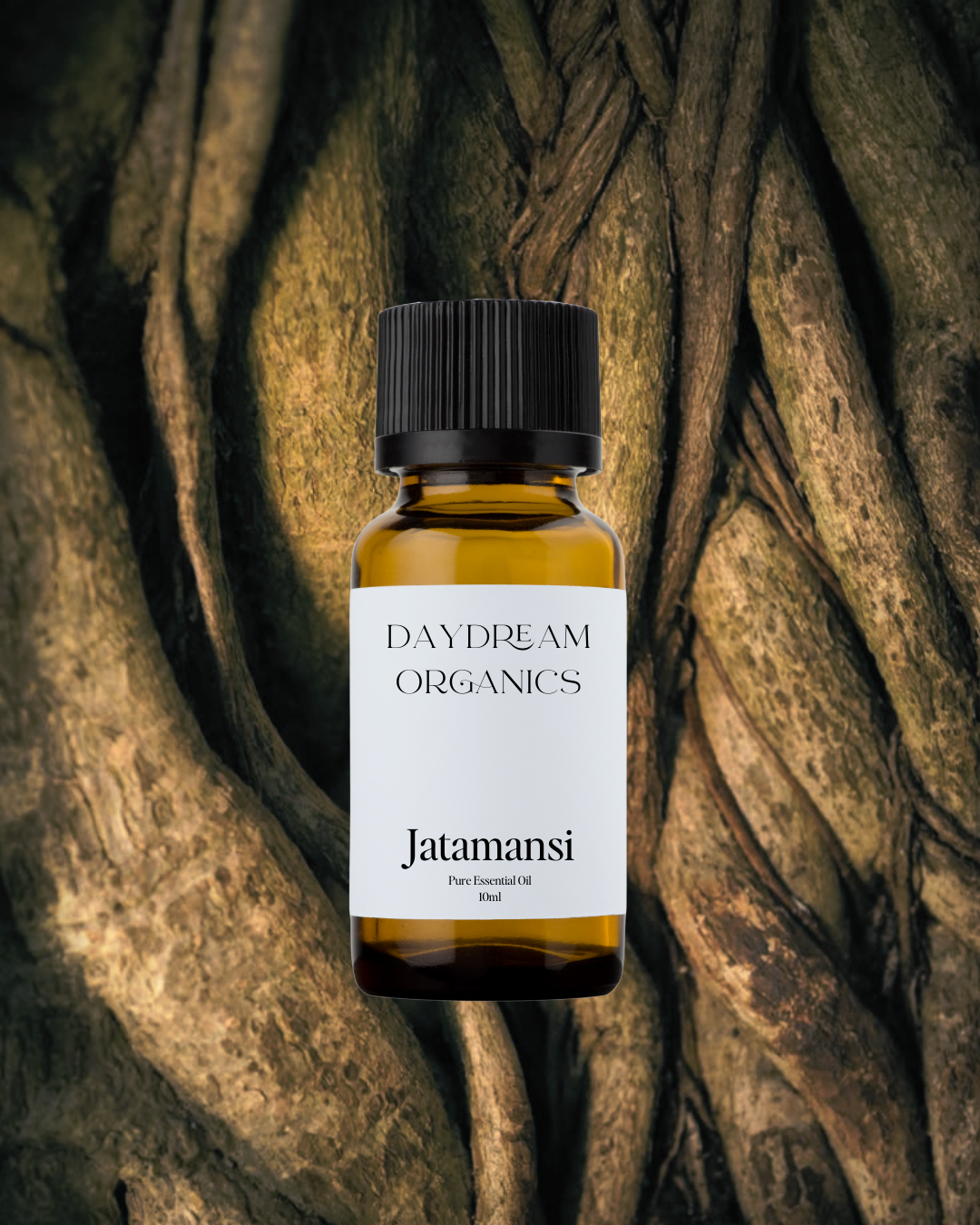 Our uncertified organic&nbsp;Jatamansi (Spikenard) essential oil has been valued for many centuries in Ayurveda and has traditionally been used to anoint people. Jatamansi (Spikenard) offers an earthy, woody, musty aroma.

Emotionally and energetically, Jatamansi (Spikenard) is soothing, balancing and calming.