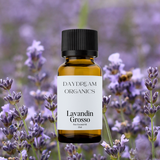 Our uncertified organic Lavandin Grosso essential oil derives from the Lavandula x intermedia plant, a close relative of Lavender. Lavandin offers a floral, fresh, herbaceous and sweet aroma. 

Emotionally and energetically, Lavandin Grosso is deeply relaxing and calming.