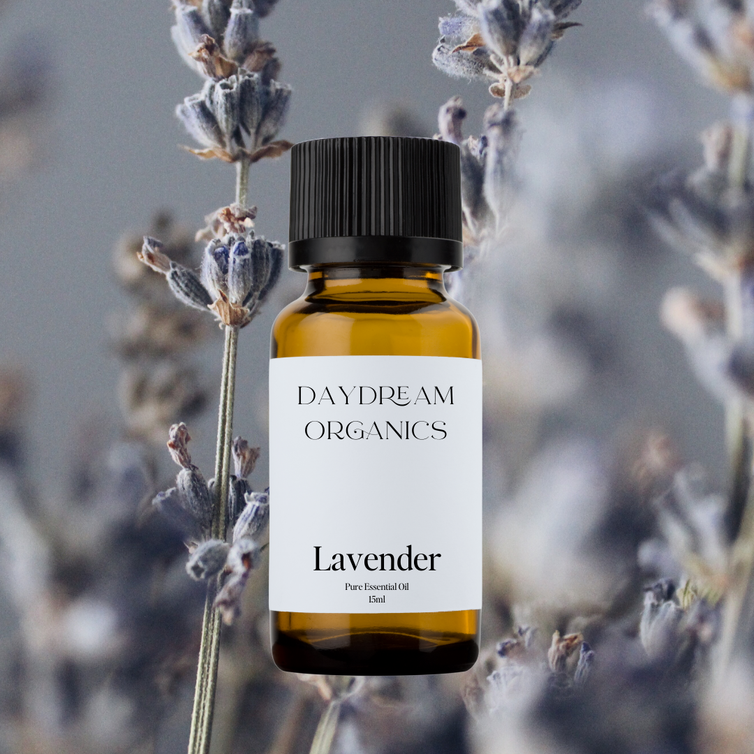 Our uncertified organic Lavender essential oil is steam distilled from the flowers growing in the French countryside. Lavender offers a floral, sweet and herbaceous aroma. 

Emotionally and energetically, Lavender is cooling, drying, soothing and deeply calming. 
