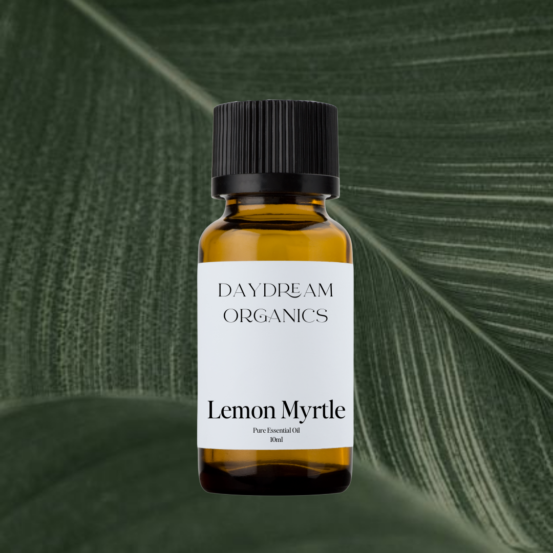 Our uncertified organic Lemon Myrtle essential oil offers a bright, lemony-fresh aroma that is vibrant, crisp, and slightly sweet, with a more intense citrus note than lemon itself.

Emotionally and energetically, Lemon Myrtle is uplifting, clarifying, and invigorating, often used to refresh the mind, boost mood, and promote a sense of clarity, lightness, and renewed energy.