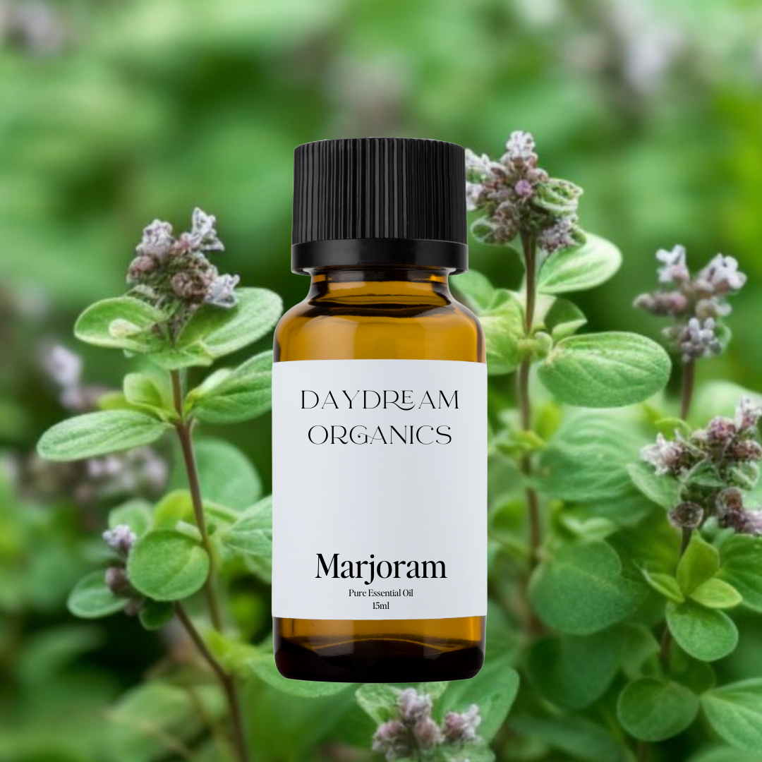 Our ethically wildcrafted Marjoram essential oil offers a fresh, herbaceous, woodsy, and slightly medicinal aroma.

Emotionally and energetically, Marjoram is warming, revitalizing, calming, pleasantly stimulating and deeply comforting.