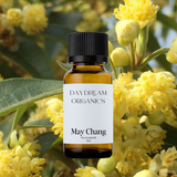 Our uncertified organic May Chang (Litsea Cubeba) essential oil is also commonly known as Mountain Pepper and Exotic or Tropical Verbena. May Chang offers a powerful, clean, fresh, sweet, green, lemon-like aroma with light woody and floral undertones.