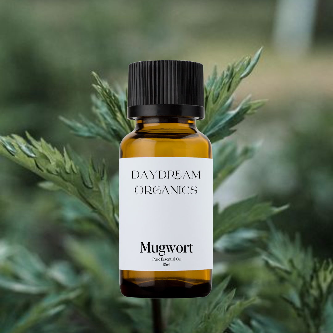 Our ethically wildcrafted Mugwort essential oil offers a herbaceous, bitter-sweet, camphoraceous aroma with soft, green undertones. 

Emotionally and energetically, Mugwort is calming, encouraging, uplifting and relaxing. Mugwort is known for helping to reduce worries, bring cheerfulness and support positivity. 