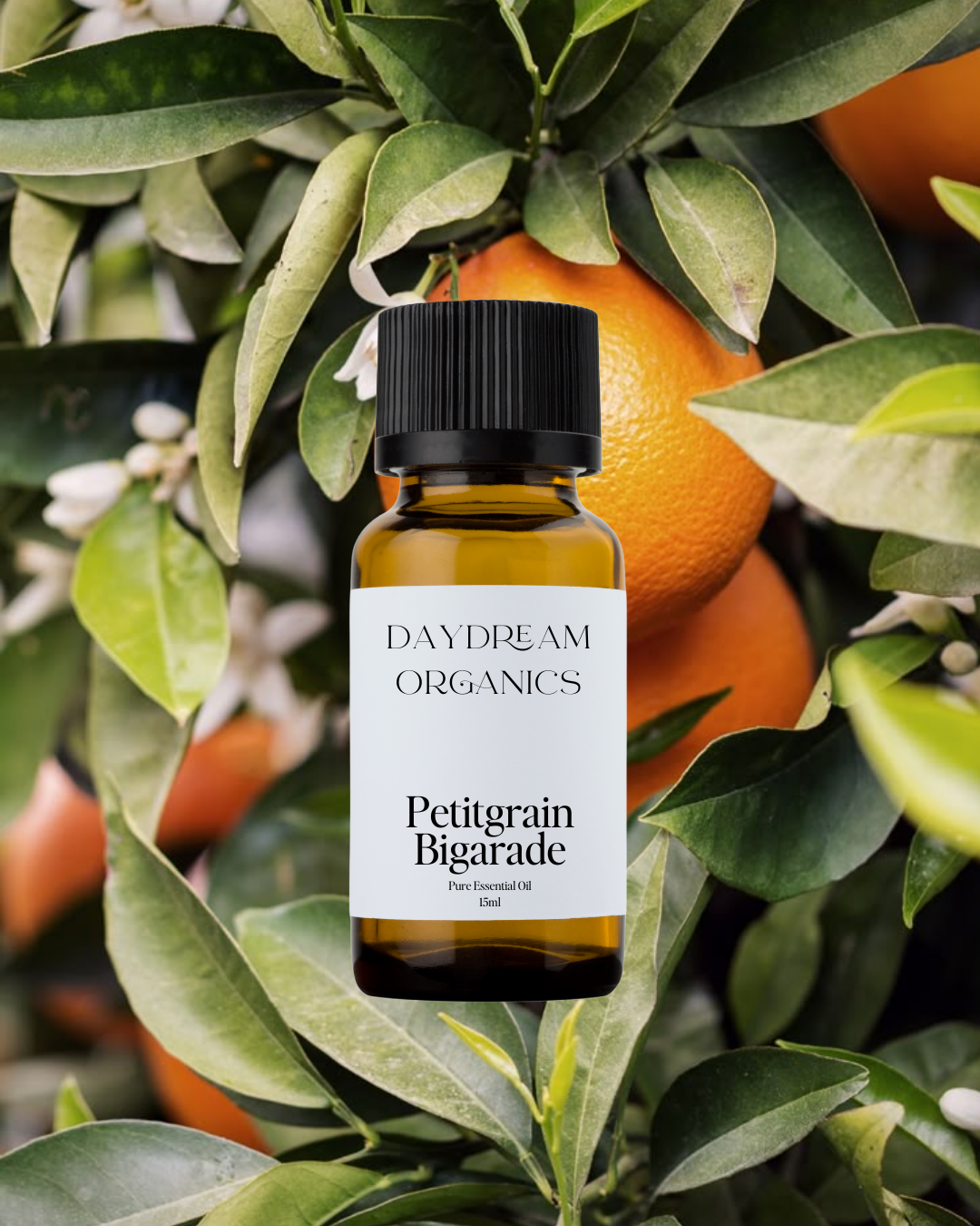 Our uncertified organic Petitgrain Bigarade&nbsp;essential oil offers a fresh, green, and slightly woody aroma with soft floral and citrus undertones, distilled from the leaves and twigs of the bitter orange tree.

Emotionally and energetically, Petitgrain Bigarade is calming, clarifying, and gently uplifting, often used to ease tension, balance emotions, and promote a sense of peace, focus, and lightheartedness.