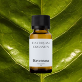 Our ethically wildcrafted Ravensara essential oil offers a fresh, mildly lemony, earthy and herbaceous aroma.

Emotionally and energetically, Ravensara is soothing, grounding, uplifting and balancing. Ravensara is known to help clear excess movement and energy as well as to help reduce feelings of sadness.