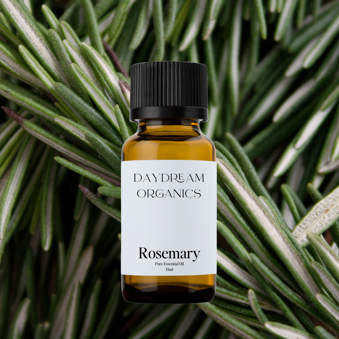 Our uncertified organic Rosemary essential oil offers an intense, fresh, sweet, herbaceous and minty-green aroma with clean, woody and balsamic undertones. 

Emotionally and energetically, is mentally clarifying, energizing and uplifting. Rosemary is known to clear feelings of negativity, inspire a more positive outlook and strengthen the mind. 