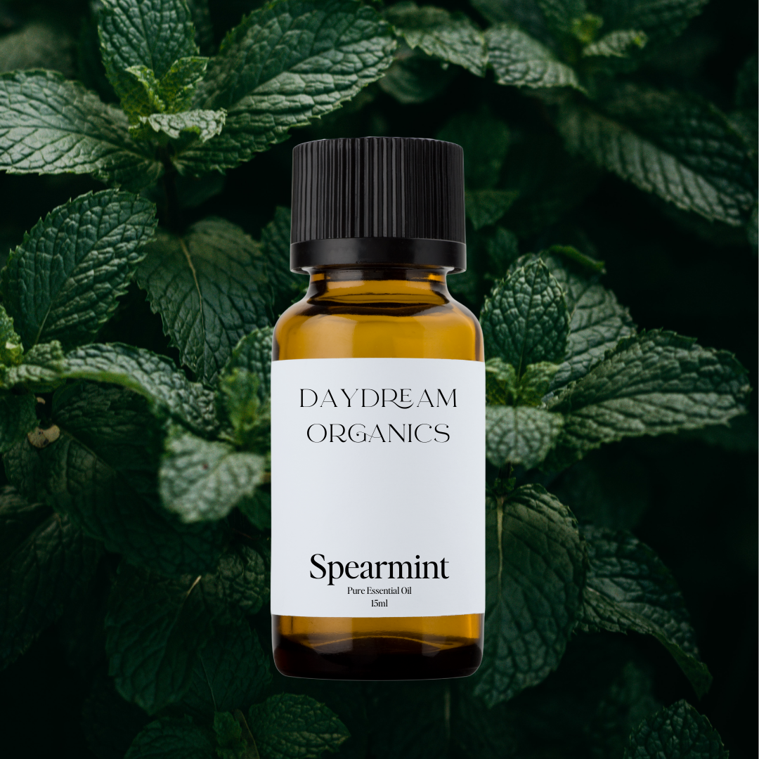 Our uncertified organic Spearmint essential oil offers a beautiful, sweet, lively, cooling and minty green aroma with subtle fruity notes.&nbsp;

Emotionally and energetically, Spearmint is invigorating, balancing and uplifting. Spearmint is known to encourage rest and relaxation as well as to support mental clarity and feelings of self confidence.
