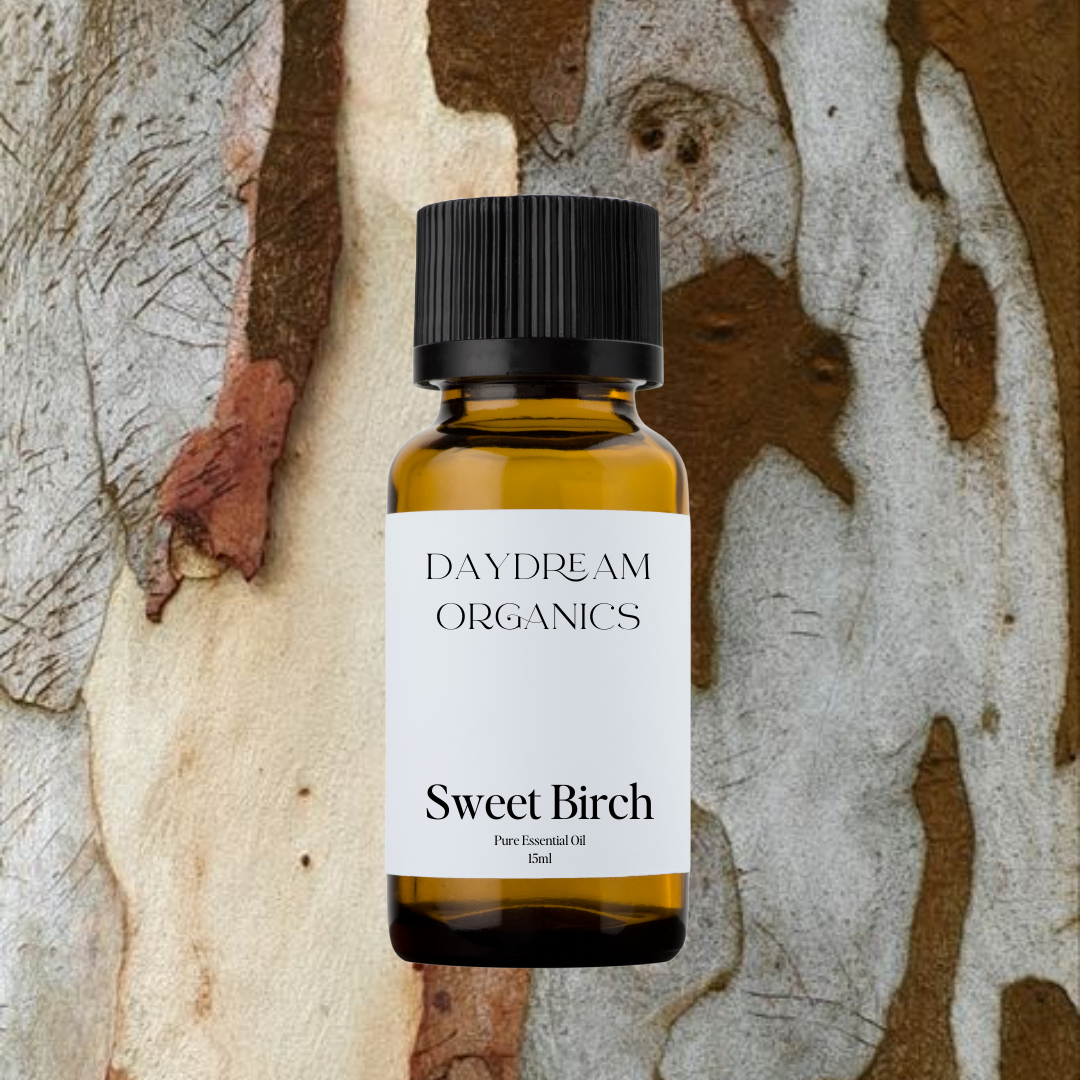 Our uncertified organic Sweet Birch essential oil offers minty, fresh, sweet, wintergreen-like and medicinal essential oil.