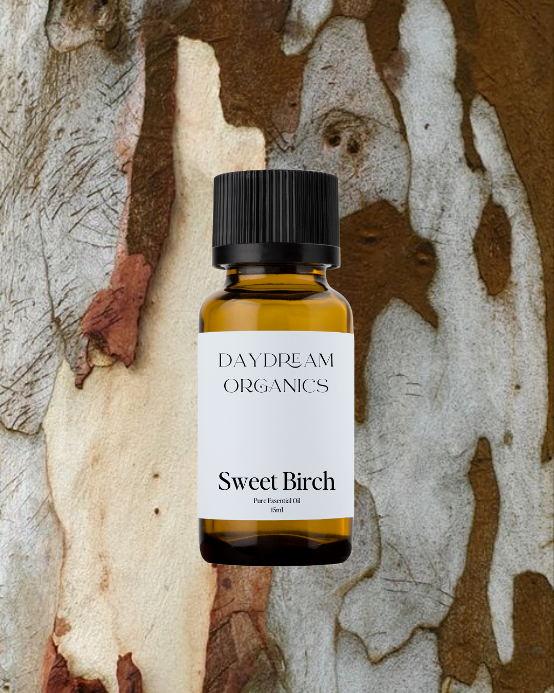 Our uncertified organic Sweet Birch essential oil offers minty, fresh, sweet, wintergreen-like and medicinal essential oil.