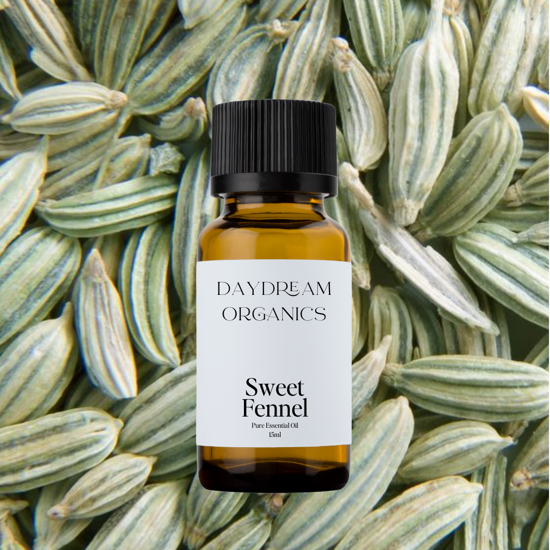 Our ethically wildcrafted Sweet Fennel essential oil offers a warm, sweet, and slightly spicy aroma with rich licorice-like notes, both comforting and invigorating.

Emotionally and energetically, Sweet Fennel is clarifying, balancing, and empowering, traditionally used to enhance focus, suppor
Emotionally and energetically, Sweet Fennel is clarifying, balancing, and empowering, traditionally used to enhance focus, support emotional digestion, and promote a sense of confidence, vitality, and energetic flow.