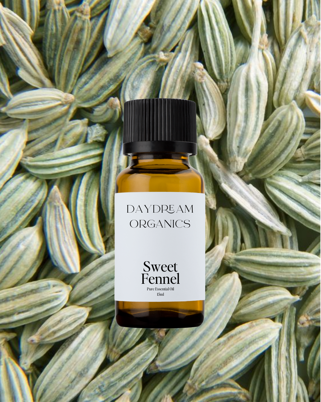 Our ethically wildcrafted Sweet Fennel essential oil offers a warm, sweet, and slightly spicy aroma with rich licorice-like notes, both comforting and invigorating.

Emotionally and energetically, Sweet Fennel is clarifying, balancing, and empowering, traditionally used to enhance focus, suppor
Emotionally and energetically, Sweet Fennel is clarifying, balancing, and empowering, traditionally used to enhance focus, support emotional digestion, and promote a sense of confidence, vitality, and energetic flow.