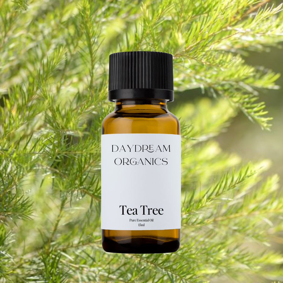 Our ethically wildcrafted Tea Tree essential oil offers a fresh, warm, spicy, floral and herbaceous aroma.
