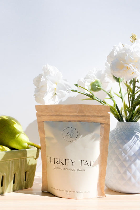 Our organic Turkey Tail mushroom powder is gut supporting and is known for its immense immune support benefits.