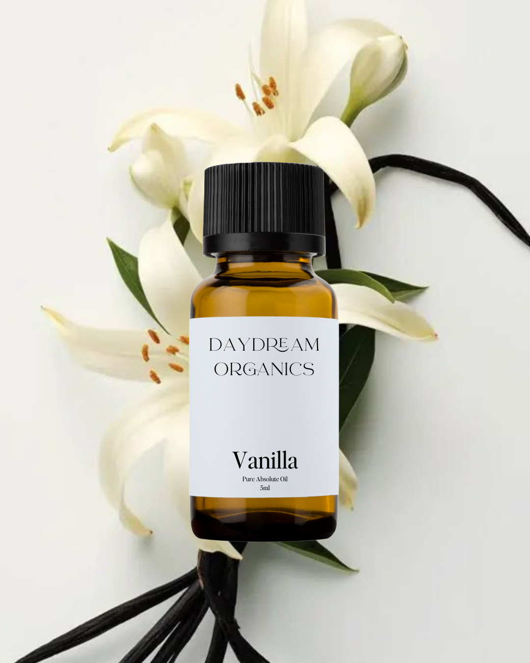 Our uncertified organic Vanilla Absolute essential oil offers a deep, sweet, warm, rich and caramel-like aroma with chocolate-like nuances.