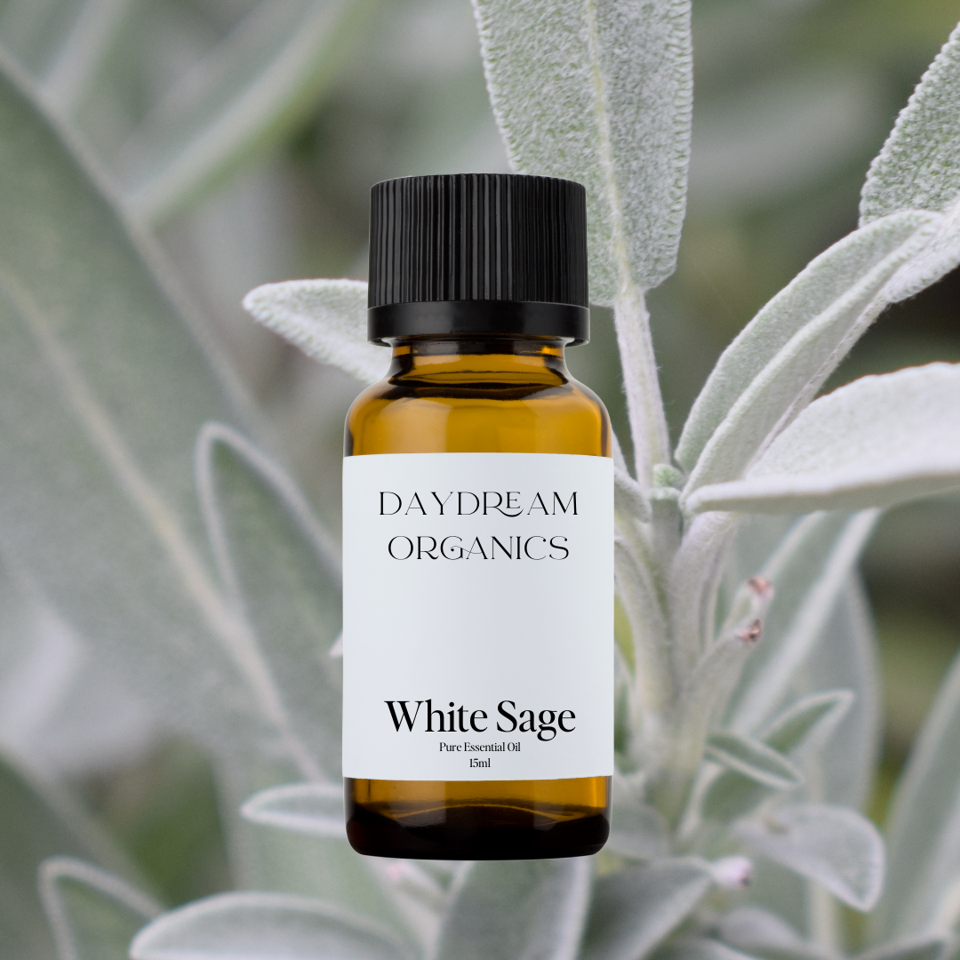 Our uncertified organic White Sage essential oil offers a strong, earthy, and camphorous aroma with crisp, herbaceous undertones, traditionally revered for its cleansing and purifying properties.

Emotionally and energetically, White Sage is clarifying, grounding, and protective, often used to clear negative energy, enhance focus, and create a sense of sacred space and spiritual renewal.