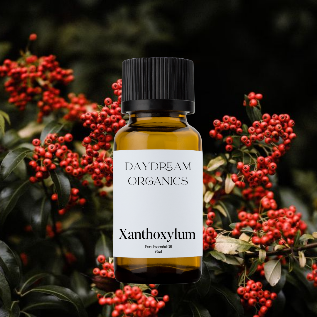 Our uncertified organic Xanthoxylum essential oil, also known as Timur or Toothache Tree, offers a bright, spicy-citrus aroma with tingling, peppery notes that are both energizing and refreshing.

Emotionally and energetically, Xanthoxylum is stimulating, awakening, and clarifying, traditionally used to sharpen the senses, clear stagnant energy, and support a sense of alertness, vitality, and movement.